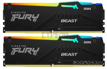 Модуль памяти Kingston KF556C40BWAK2-32